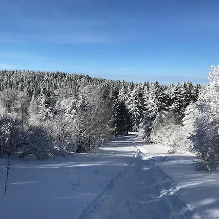 T2 Au Mont-dore, 4 Pers, Vue Montagne - Fr-1-608-108 شقة *
