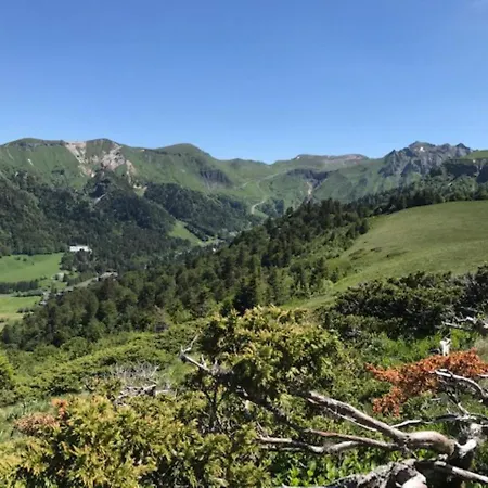 T2 Au Mont-dore, 4 Pers, Vue Montagne - Fr-1-608-108 شقة *